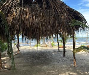 Casa Azure Playas del Francés