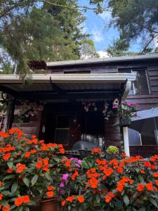 Cabaña privada en Los Naranjos