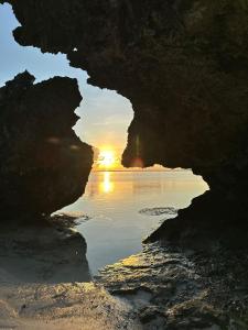 baobab Africa zanzibar