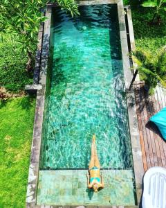Private 3 Bedrooms Tropical Modern Villa with Infinity Pool - Ubud