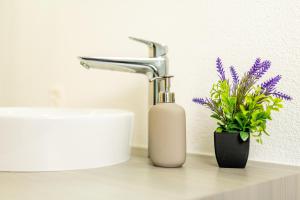 Jasminkas Host 3 - Stadtwohnung mit Küche & gratis Parkplatz