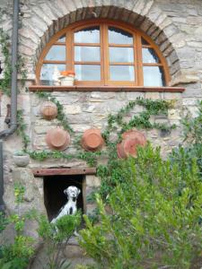 Il Nido dell'aquila img12