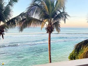 Florain Otium Talpe - 3 Bedroom Oceanfront Villa