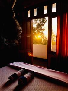 Eco Salient View