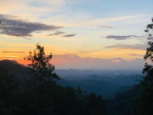 Eco Salient View