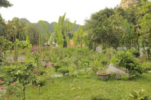 Trang An by Linh Homestay