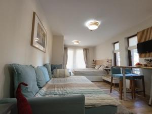 Green Line Studio Appartment Pamporovo