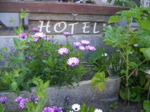Hotels Les Chants d'Ailes - Hotel Face Mer : photos des chambres