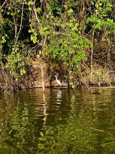 Kali Hideaway Experience Arusha