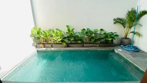 2-bedroom minimalist villa in Sanur