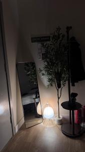 Elegant studio with 65-inch screen and outdoor seating