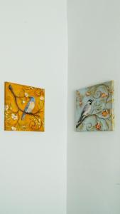 Naple Stays - The Spectrum of Comfort