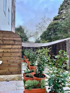 Passeio Sintra Collection-Soft Opening