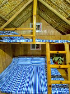 Binoclutan Campsite and Kubotel