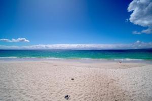 Myuna - beachfront pet-friendly coastal escape