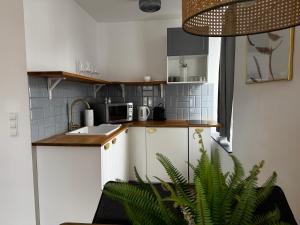 Hirschenhof Apartments