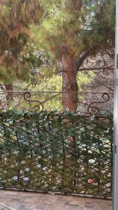 Verona Bed and Relax Apartment