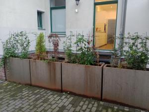 Ferienwohnungen in der Kunstgalerie