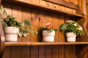 Due torri - Appartamento Alpino a Moggio Centro