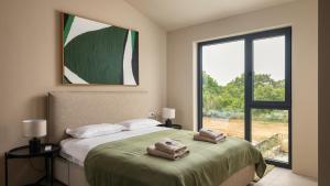 Modern villa Tia II with outdoor pool in Porec