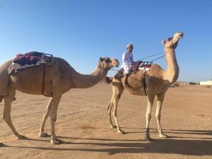 Endless Dunes Camp