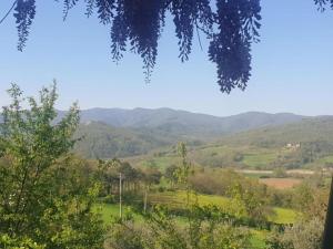 Cosy holiday home in Tuscany with shared swimming pool