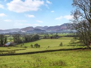 Derwent View