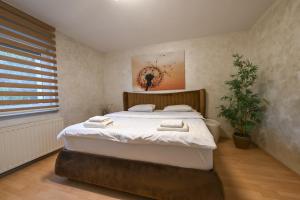 Apartments in Villa Olimp