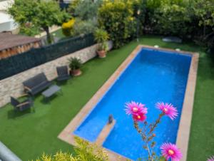 Winahost el Rincón de Creixell