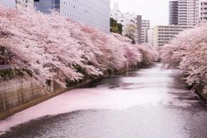 5 min walk to station, New building, 15 m Meguro River