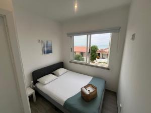 Blife Troya private rooms at Faro beach