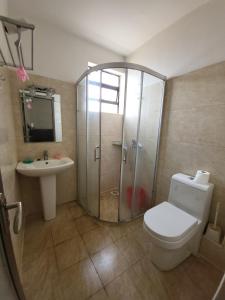 Luxury Apartment Kilimani