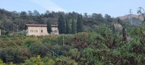 Maso kreuberg- Suite con zona giorno, 8 piano terra