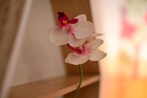 FLH - Die alte Brauerei