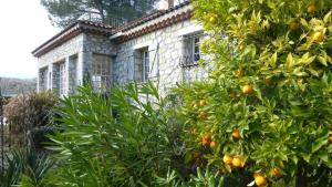 Charming villa - perfectly located