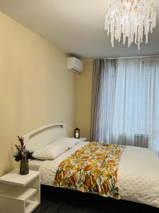 Чудові апартаменти у центрі міста з гарним виїздом на Щасливе