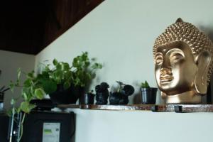 Casasd0ceano frente à praia da solidão