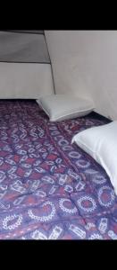 Adventure Stay Nature Experience Private Camping