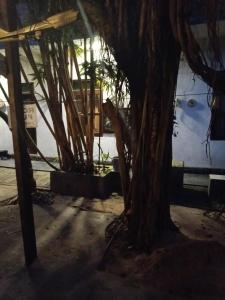 Surf Kin Garden Inn
