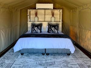 Langa Langa Safari Camp - Inc 2 Kruger Safaris Daily