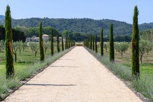 The Mas du Mazet Stunning New Mas in the Heart of the Orchards Charleval