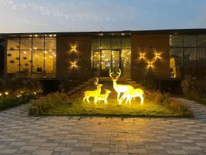 Rose 3- Romantic Luxury cabin with Jacuzzi in Hyderabad by Homeyhuts