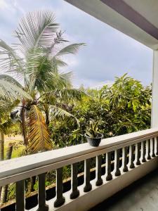 Homestay COAST HOUSE