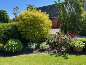 Ferienwohnung Deichblick