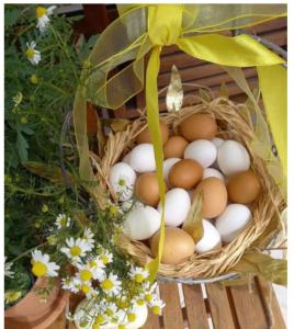 Venetian Hill House by "elite"