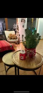 APARTAMENT NARNIA 7a