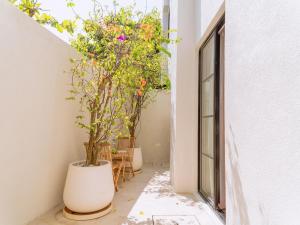 Nila Villa 5 An Oasis in Canggu by Culture Art Bali Travel