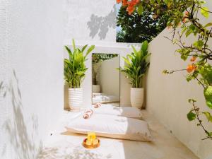 Nila Villa 5 An Oasis in Canggu by Culture Art Bali Travel