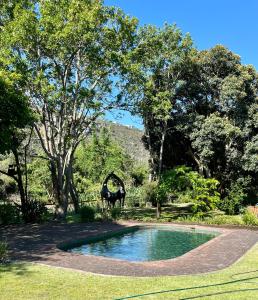 Chameleon Gardens - Dschungel