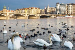 LMai Riverside Residence Prague